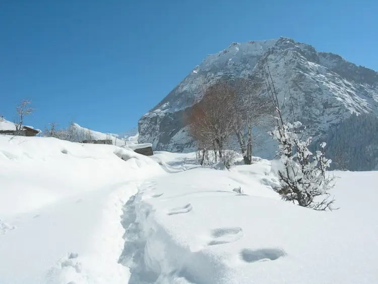 हियुंत बुच घुगी फाट