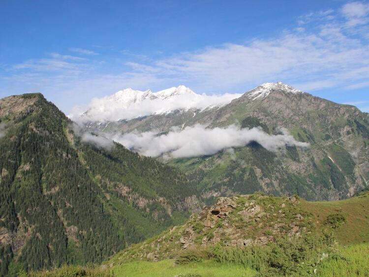साचपास कनारी फोटो साचपास कनारी फोटो