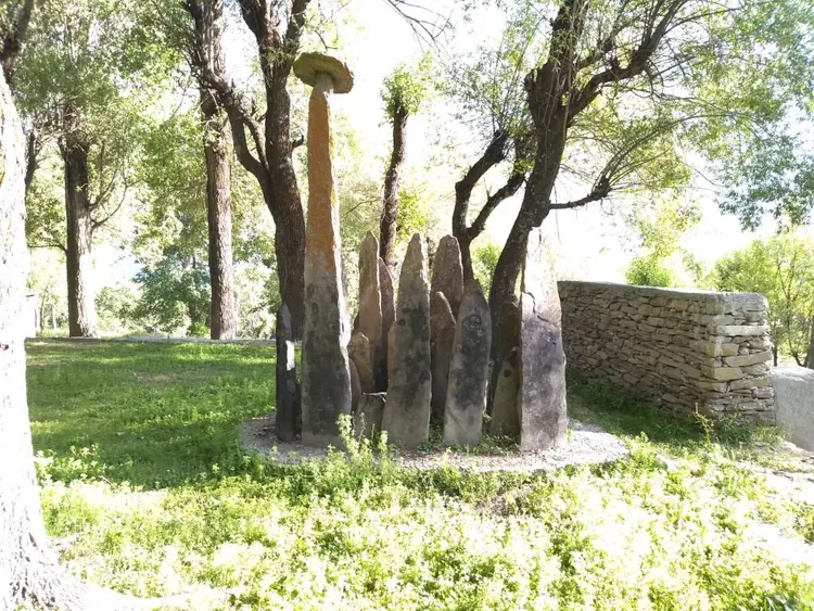 फुलियाटड़े धज