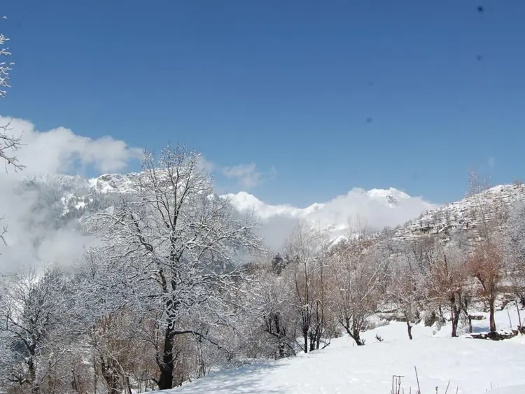 हियुते टेमी फोटो