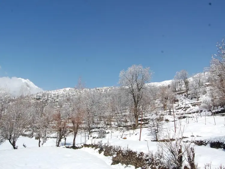 हियुते टेमी फोटो