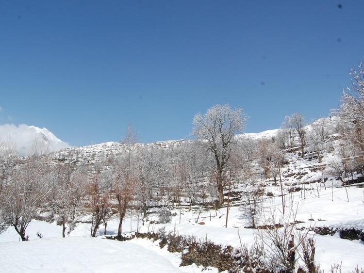 हियुते टेमी फोटो हियुते टेमी फोटो