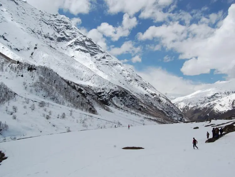 हियुते टेमी सुराले फोटो
