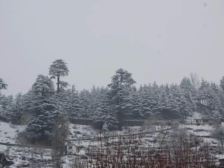 हियुते टेमी होसंण रेही कलाड़े फोटो
